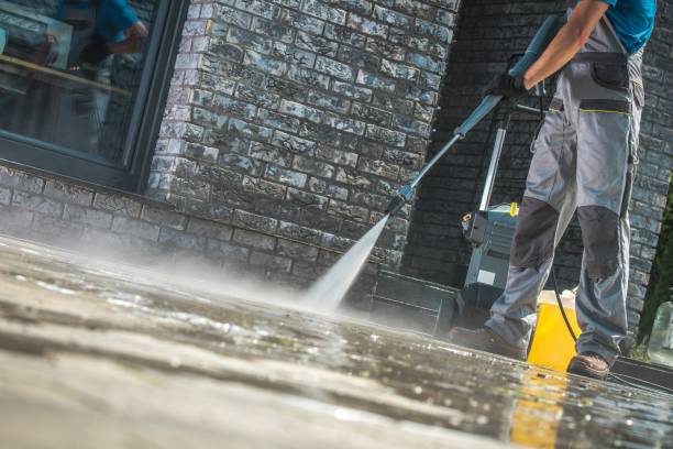 Best Soft Washing  in Temecula, CA